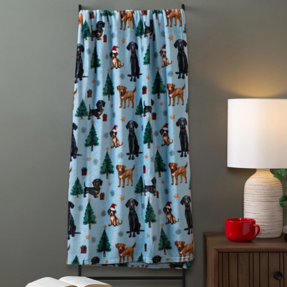 💕3/$25💕 QE Home Holiday Fleece Throw